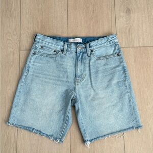 Pacsun Mens denim cutoff shorts